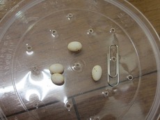 sb2014.7.30 1.jpg